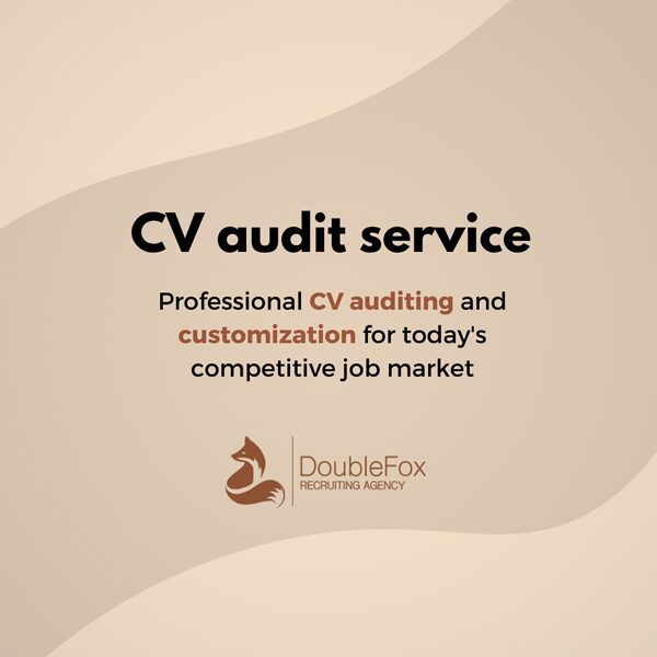 CV audit and improvement service